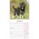 Schnauzer Wall Calendar 2023