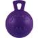 Jolly Tug-N-Toss Ball Dog Toy 10 inch X-Large