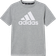 Adidas Essentials Big Logo Cotton Camiseta De Manga Corta Chicos - Gris Claro