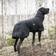 Back On Track Hund Eve Nella Sort 50