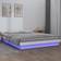 vidaXL LED Light Sengeramme 120x190cm