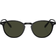 Oliver Peoples Riley Sun Polarized OV5004SU 1005P1