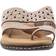 Array Catalina - Bronze