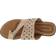 Array Catalina - Bronze