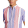 Polo Ralph Lauren Stripe Short Sleeve Oxford Shirt - Blue/Red