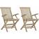 vidaXL Lot de 2 Chaises de Jardin Pliantes Fauteuils de Terrasse Patio Extérieur Scandinave