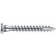 Eurotech Monteringsskruv FZB TX20 5x50 250
