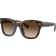 Lauren Ralph Lauren Solbriller - Glossy Dark Tortoise