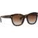Lauren Ralph Lauren Solbriller - Glossy Dark Tortoise