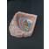 Zoo Med Ciotola Per Acqua Angolare In Roccia 4.4 x 12.7 x 12.7 cm