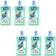 Flash Antibacterial Liquid Cleaner Apple Blossom 1L - Pack