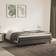 vidaXL Boxspringbett Dunkelgrau 180x200 cm Samt Bettrahmen
