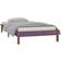 vidaXL Bedframe LED Massief Hout Honingbruin 90x200 cm