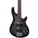 Schecter C-5 Plus