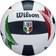 Wilson Italian League Official Game Ball WTH6114XB