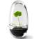 Design House Stockholm Grow Mini Greenhouse S Verre