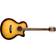 Washburn EA15ATB-A-U