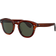 Oliver Peoples Cary Grant Sun Polarized OV5413SU 1679P1