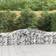 vidaXL Paniers À Gabions Arqués Cages 400x50x60/80 cm Fer Galvanisé