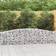 vidaXL Cesti Gabbioni Ad Arco 9 pz 400x30x60/80 cm Ferro Zincato