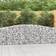 vidaXL Cesti Gabbioni Ad Arco 10 pz 400x30x80/100 cm Ferro Zincato