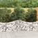 vidaXL Arched Gabion Baskets 9 Iron Silver