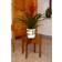 Florny 40cm Tall Wood Plant Stand