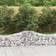 vidaXL Arched Gabion Baskets 5 Iron