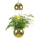 Globen Lighting Planter Mini Lampada a Sospensione 18cm