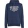 Tommy Jeans Tjm Reg Entry Graphic Hoodie - Twilight Navy