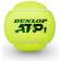 Dunlop ATP-mestaruus tennispallo 3-pakkaus