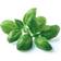 Click and Grow Smart Garden Refill 3 pcs