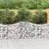 vidaXL 200 80/100 cm/ 9 pcs Arched Gabion Basket Galvanised Iron Gabion Multi Sizes/Quantities