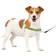 PetSafe Easy Walk Dog Harness No Pull Dog