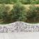 vidaXL Cesti Gabbioni Ad Arco 3 pz 200x50x40/60 cm Ferro Zincato