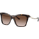 Bvlgari BV8257 504/13 Havana