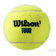 Wilson Tour Premier All Court - 4 Balles