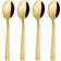 Aida Raw Dessert Spoon 14cm 4pcs