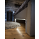 Star Trading Nightlight Functional Ljuslist