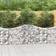 vidaXL Cesti Gabbioni Ad Arco 4 pz 200x30x80/100 cm Ferro Zincato