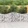 vidaXL Cesti Gabbioni Ad Arco 10 pz 200x30x80/100 cm Ferro Zincato