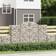 vidaXL 200 cm/ 14 pcs Arched Gabion Basket Cage