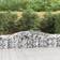 vidaXL Cesti Gabbioni Ad Arco 3 pz 400x50x60/80 cm Ferro Zincato - Argento 50x100cm
