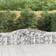 vidaXL buede gabionkurve 2 stk. 400x30x60/80 galvaniseret jern