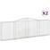vidaXL Cesti Gabbioni Ad Arco 2 pz 400x30x120/140 cm Ferro Zincato