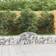 vidaXL Gabion Bågformad Set of 10 200x30x40/60 cm