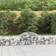 vidaXL Cesti Gabbioni Ad Arco 6 pz 200x50x40/60 cm Ferro Zincato