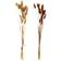 Geko Set of Two Natural Dried Lagarus Bouquets in Cream & Brown