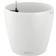 Lechuza Classico Color 21 Planter 20.5cm H x 21.5cm W x 21.5cm D