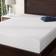 AllModern Wayfair Sleep Queen Polyether Mattress